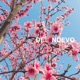 De Nuevo Single