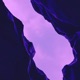 Blue Dawn Single