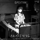 Awakening Single