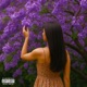 Morena Jacarandá Single