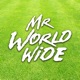 Mr Worldwide Single