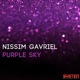 Purple Sky Single