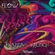 Flow Single