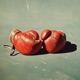 Hard Fought Hallelujah Single