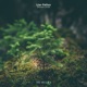 Distant Lands Single
