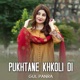 Pukhtane Khkoli De New Single
