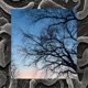 Frontal Cortex EP