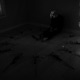 The Last Time I Fall pt ii Single