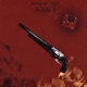 Doom 2 Single