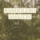 Amazon Freestyle Single