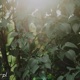 Breaking Light Single