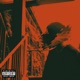 Hit N Run Single