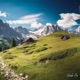 Fresh Air Single