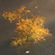 Day EP