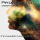 Broken Binary Beats The Paradigm Series Vol 2