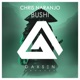 BUSHI Single