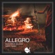 Allegro Single