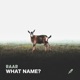 What Name Single