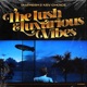 The Lush Luxurious Vibes