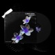 Sountech EP