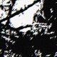 alchemical recipe for self destruction Single