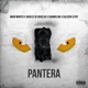 Pantera feat Daviles de Novelda DaniMflow Salcedo Leyry Single