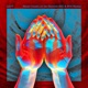 Never Could Let Go Summit De Ryx Remix Single