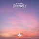 Last Journey Single