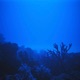 The Sixth Extinction feat Frostbite Single