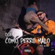 Como Perro Malo Single