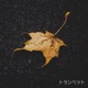 Portland Rain Single