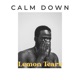 Calm Down Single