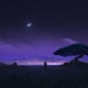 lost in the world