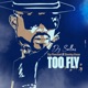 Too Fly feat Tzy Panchak Stanley Enow Single