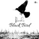 Black Bird Single