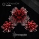 Dorylaion Single