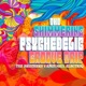 The Shimmering Psychedelic Groove Trip The Brothers Vanguard Electriq