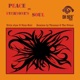 Peace in Everyone s Soul feat Vaun Noir Single
