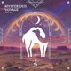 Mysterious Voyage Single