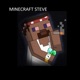 MINECRAFT STEVE feat Rashad Single