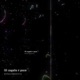 Rivals feat Paco Single