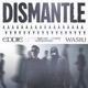 Dismantle Single