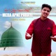 MERA APNE PARAYE Single