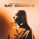 Say Goodbye Single