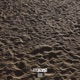 Day Dreamin feat Londonland Single
