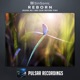 Reborn Single