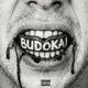 BUDOKAI
