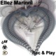 Rec Play Single