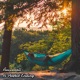 A Perfect Ending Single
