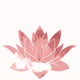 Lotus Flower Single